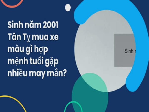 Tuổi Tỵ 2001 mua xe ngày nào tốt năm 2024?