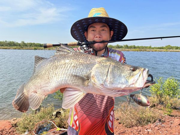 Nhìn thấy câu cá có điềm báo gì may mắn tốt lành