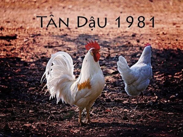 Vươn tới đỉnh cao cùng con số may mắn tuổi Tân Dậu